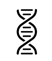 DNA